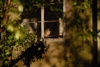 Кадр Вероника решает умереть