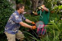 Кадр Город хищниц