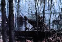 Кадр Битва за огонь