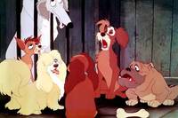 Кадр Леди и бродяга