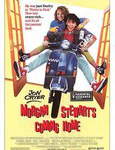 Домашняя война