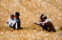 Кадр Заблудившиеся