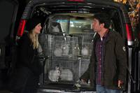 Кадр Как я встретил вашу маму