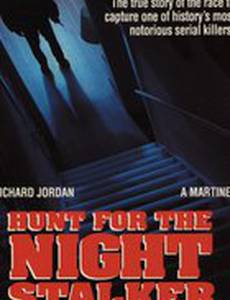 Охота за ночным убийцей