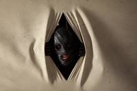 Кадр Коллекционер 2