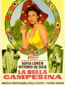 Прекрасная мельничиха