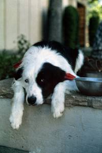 Кадр Без гроша в Беверли Хиллз