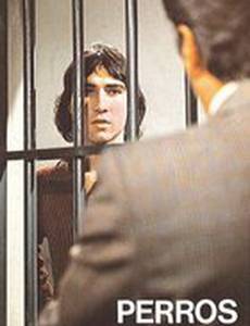 Уличные собаки 2