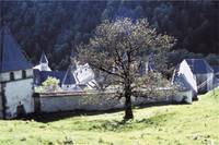 Кадр Великое безмолвие