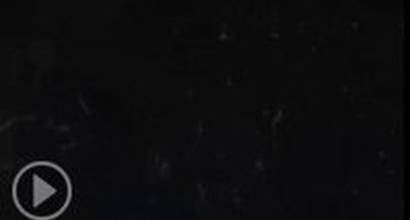 Анимированный постер