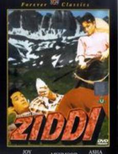 Ziddi
