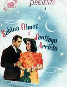 Historia de una noche