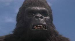 Кадр из фильма "Кинг Конг жив" - 1