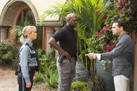 Кадр Красотки в бегах