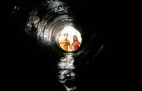 Кадр Джиперс Криперс