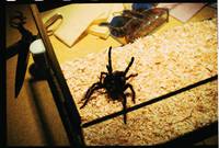 Кадр Мутанты 2 (видео)