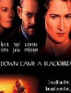 И спустился ворон