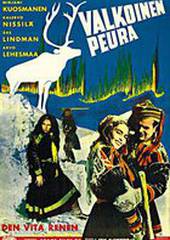 Белый олень