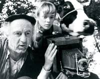 Кадр Коровы