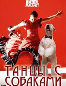 Discovery: Танцы с собаками