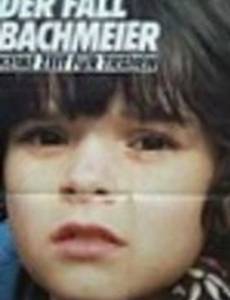 Дело Бахмайер – Не время для слез