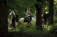 Кадр Мерлин