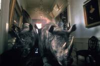 Кадр Джуманджи