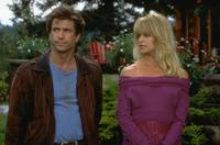 Кадр Птичка на проводе