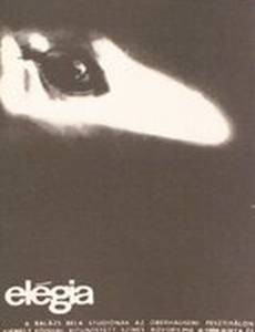 Элегия
