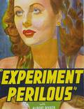 Постер из фильма "Рискованный эксперимент" - 1