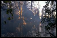 Кадр Властелин колец: Братство кольца