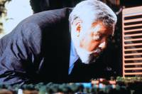 Кадр В бреду