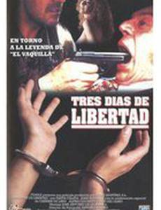 Три дня свободы