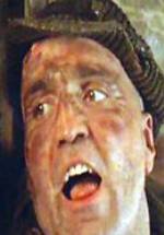 Винченцо Николи фото