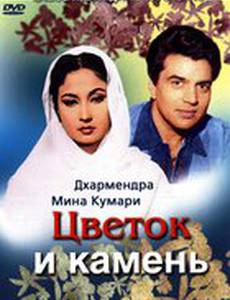 Цветок и камень