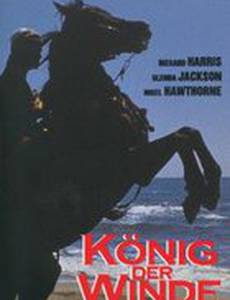 Быстрее ветра