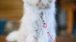 Кадр из фильма "Люблю твою жену" - 1