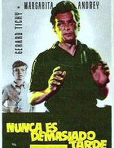 Никогда не поздно