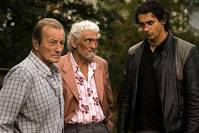 Кадр Возвращение аистов