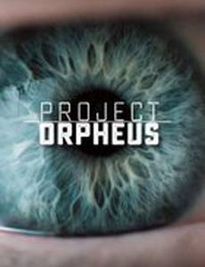 Проект «Орфей»