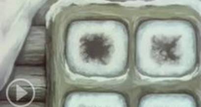 Мультфильм 