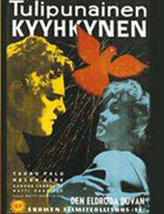 Алый голубь