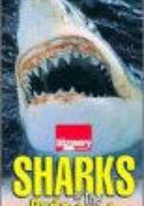 Акулы Красного треугольника