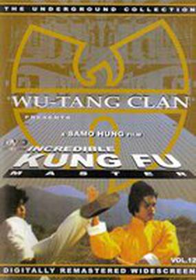 Мастер кунг-фу