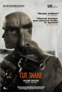 Постер Раненый змей