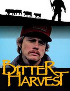 Горький урожай