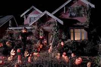 Кадр Кошелек или жизнь (видео)