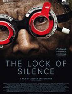 Взгляд тишины