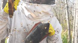 Кадр из фильма "У всех есть план" - 1