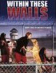 За высокими стенами